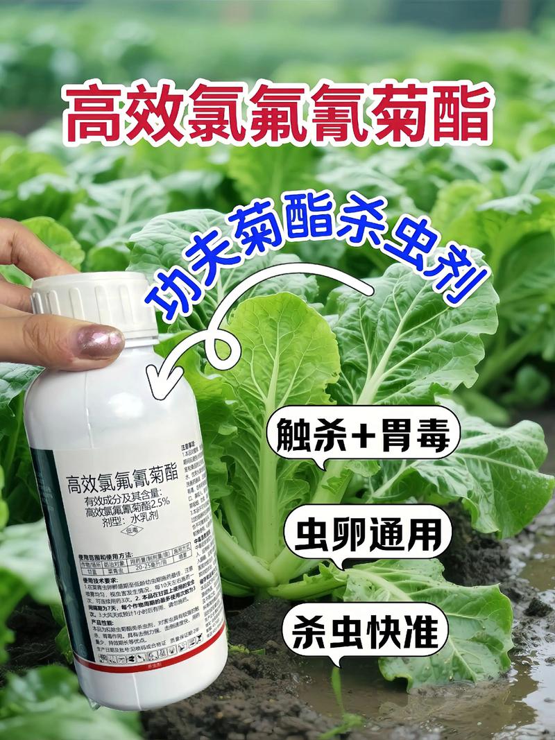 宿迁代生中心:农药对供卵代生妈妈的危害